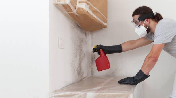 Basement Mold Remediation treatment on basement walls in Lansdale